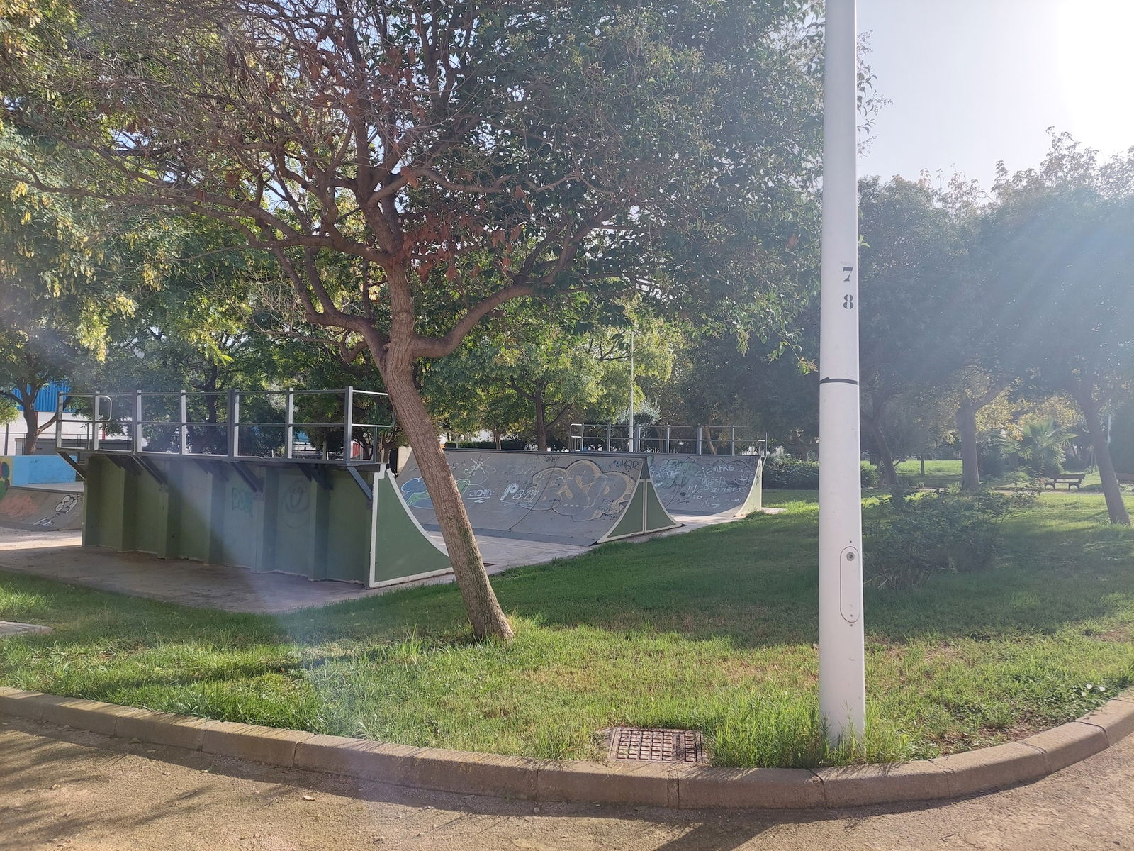 Josep Maria Ribelles skatepark
